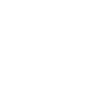 SSIP White Logo